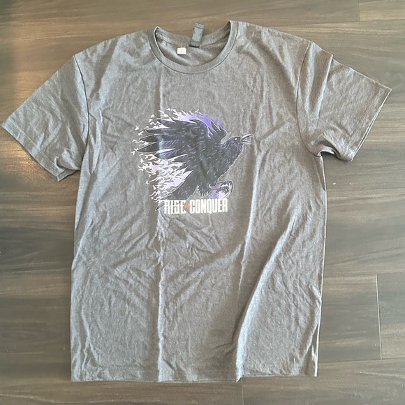 Baltimore Ravens' Gray Graphic T-Shirt - Picture 1 of 2